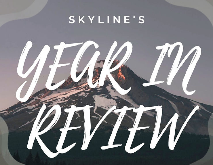 Skyline's year in review 2021