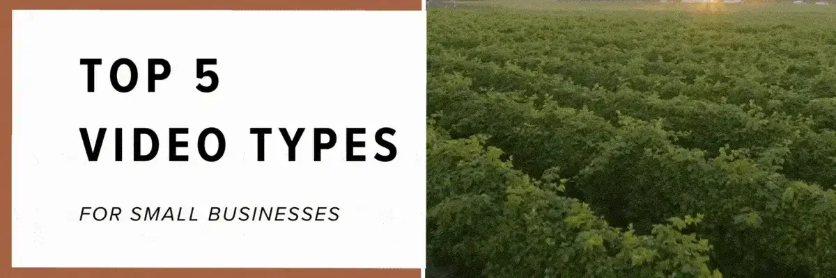 Top 5 video types for small businesses