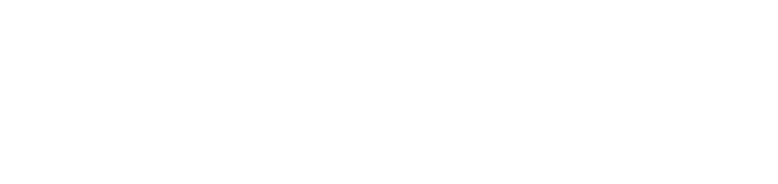 Skyline Video Production logo